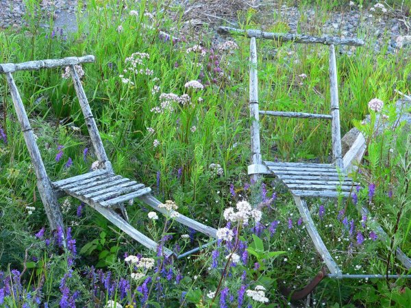 Sommar 2008 2 338 (Large).jpg