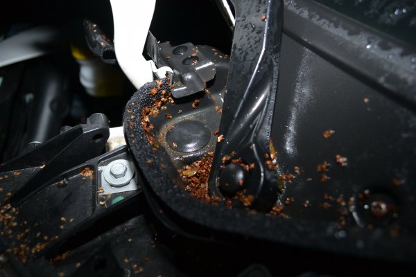 DSC_0010.JPG DSC_0010.JPG