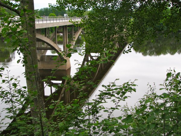 IMG_4624.JPG