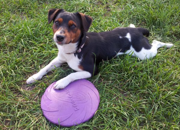 2011-08-04 17.05.43.jpg