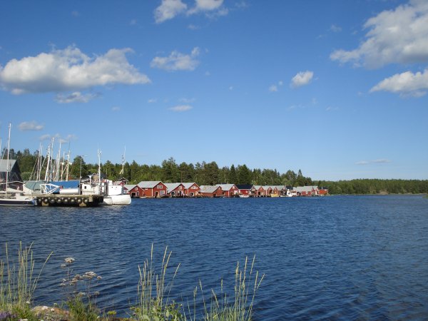 DSC01437.JPG