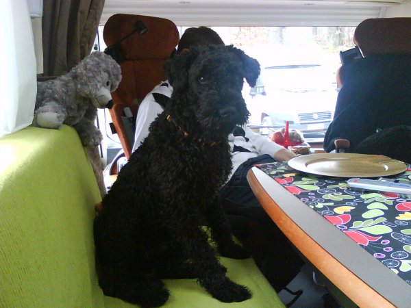 privata bilder 028.JPG privata bilder 028.JPG