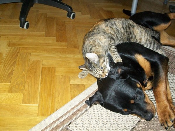 Sickan & Alize 1.jpg