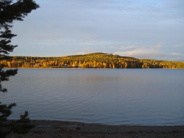 DSC02265.JPG DSC02265.JPG