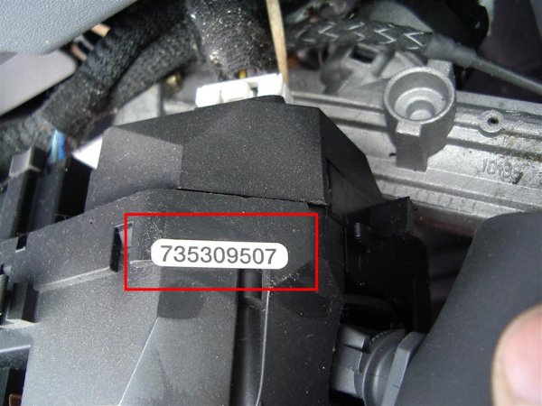 IMGP3277 (Medium).JPG