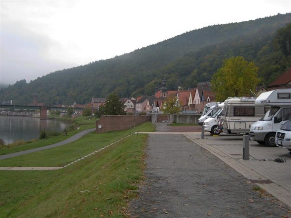 IMG_0388 (Large).jpg IMG_0388 (Large).jpg