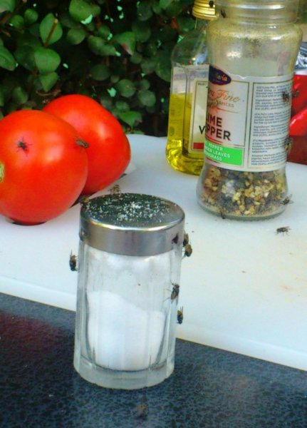 2012-10-14 17.45.46.jpg