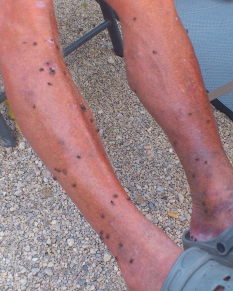 2012-10-14 17.58.17.jpg