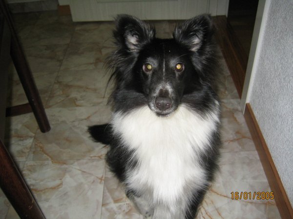 IMG_0097_3.JPG IMG_0097_3.JPG