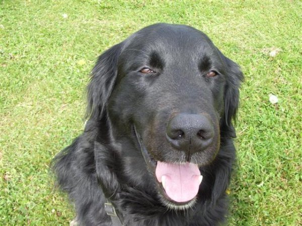 RIMG0042-1 (Small).JPG RIMG0042-1 (Small).JPG