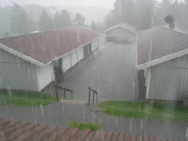 IMG_1763.JPG IMG_1763.JPG