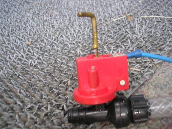 närbild.JPG närbild.JPG