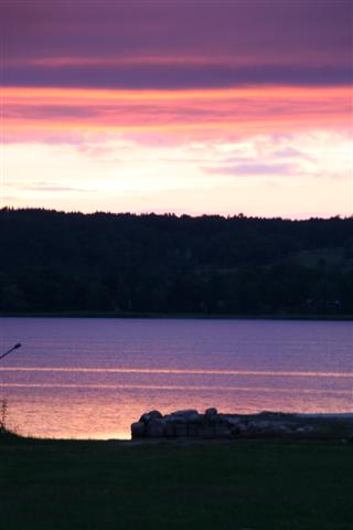 IMG_5641 (Small).JPG