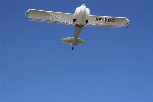 IMG_6040 (Small).JPG