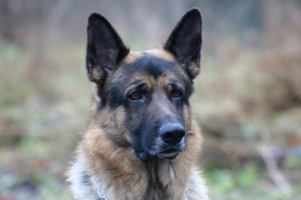 300_0558.JPG 300_0558.JPG