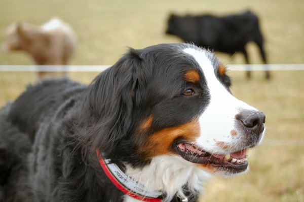 DSC_0021.JPG DSC_0021.JPG