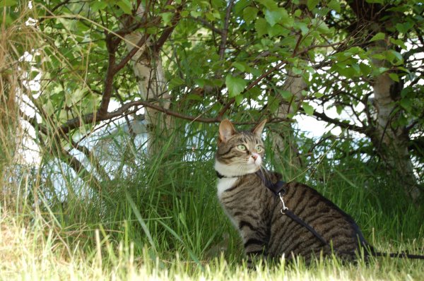 DSC_0003.JPG DSC_0003.JPG