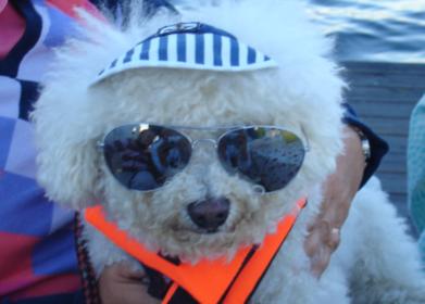 DSC05534-1.jpg DSC05534-1.jpg