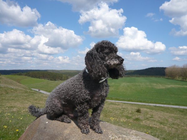 P1010741.JPG P1010741.JPG