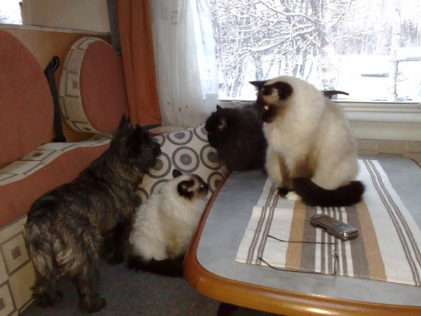 20080101153.jpg 20080101153.jpg