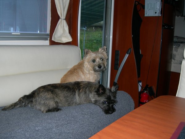 DSCN2830.JPG DSCN2830.JPG