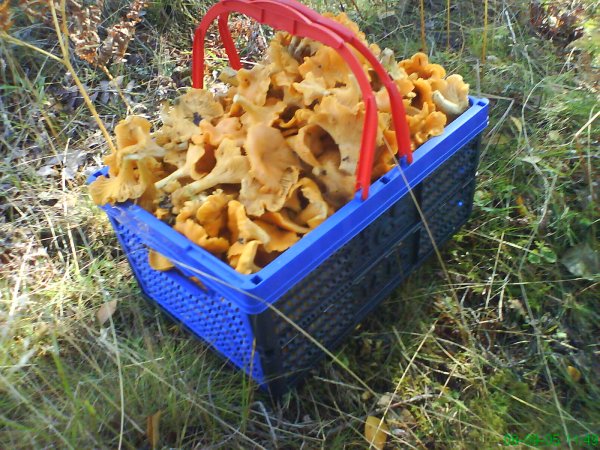 DSC00074.JPG DSC00074.JPG