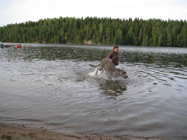 IMG_7092_JPG-for-web-large.jpg IMG_7092_JPG-for-web-large.jpg