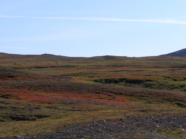 P9010305.JPG P9010305.JPG