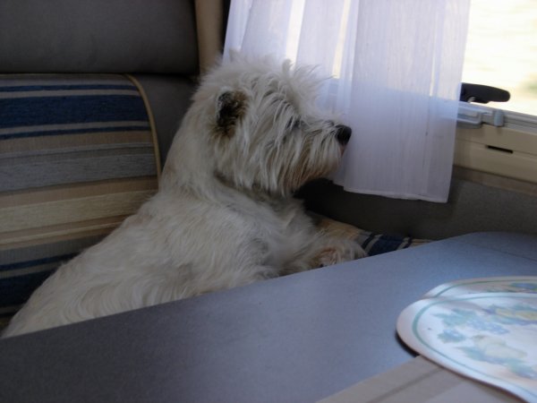 DSCN1509.JPG DSCN1509.JPG