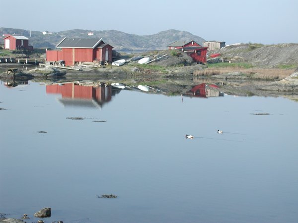 P5100966.JPG P5100966.JPG