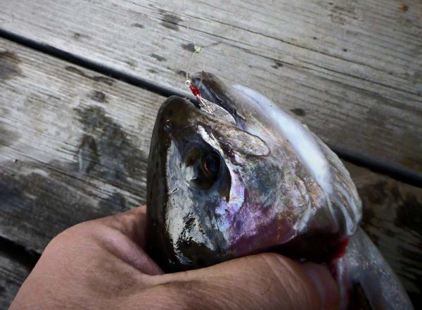 P1040245_fhdr kopia.jpg