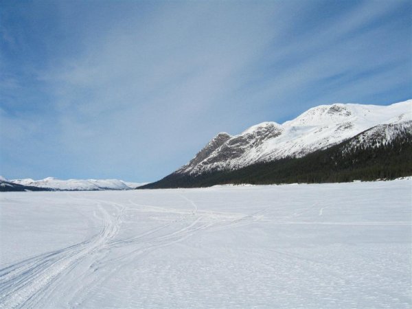 IMG_0288 (Large).JPG IMG_0288 (Large).JPG