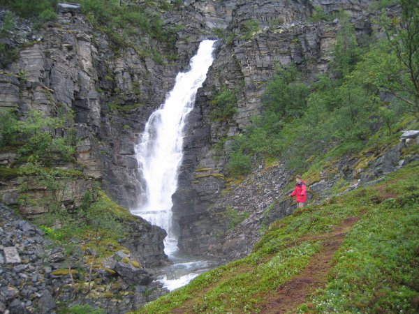 IMG_2944.JPG IMG_2944.JPG