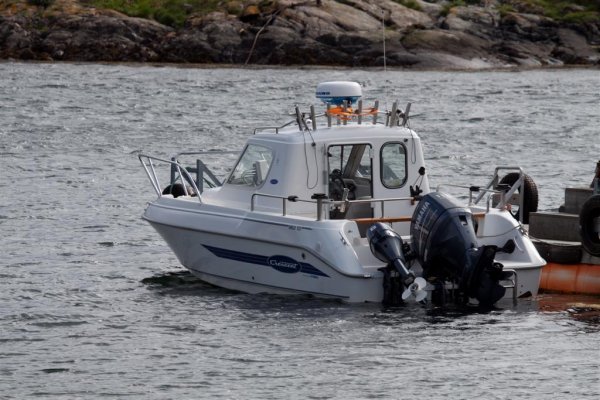 IMG_2220 (Large).jpg