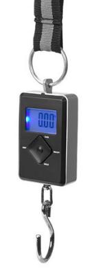 bagagevåg.JPG bagagevåg.JPG