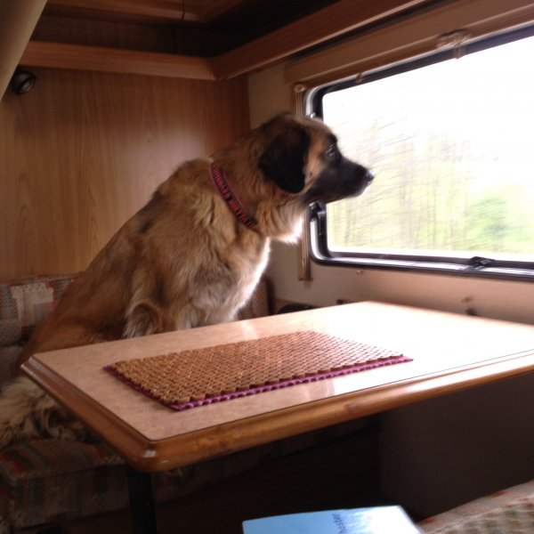 2012-05-17 15.45.29.jpg