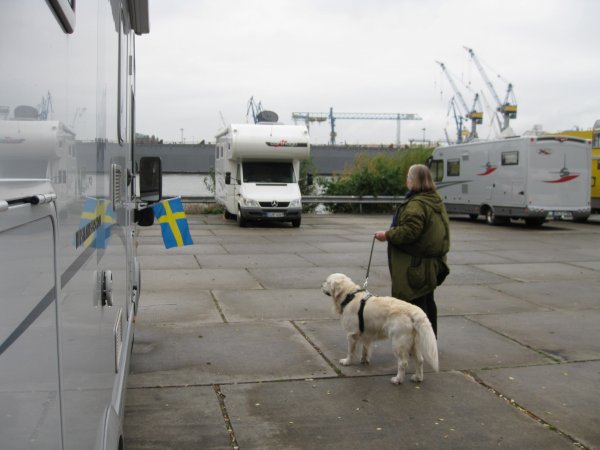 2012 sommar höst 215.JPG