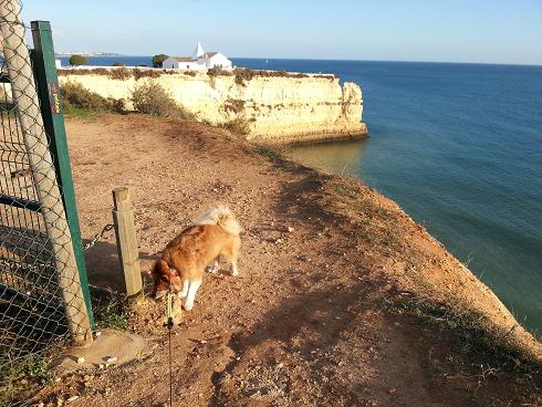 Pinkstolpe smalt mot stupet.JPG Pinkstolpe smalt mot stupet.JPG