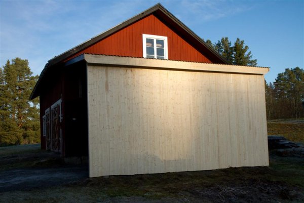 IMG_3539 (Large).jpg