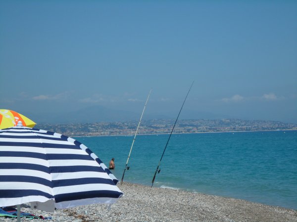 SAM_3160.JPG SAM_3160.JPG