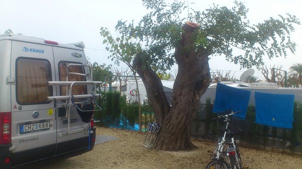 2012-11-06 11.39.15.jpg