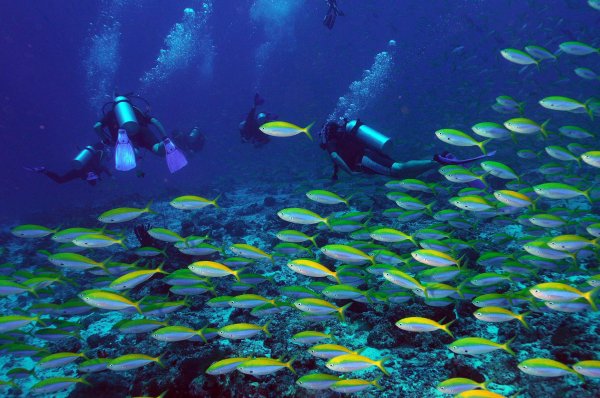 Fisksoppa.jpg Fisksoppa.jpg