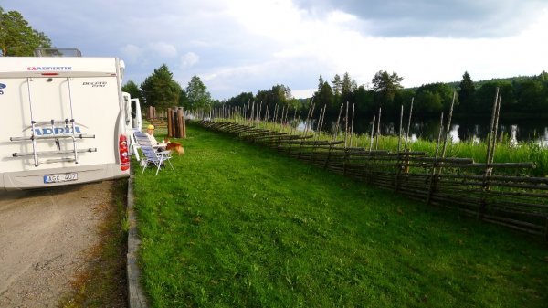 P1000142.JPG