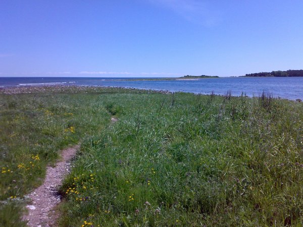 20100616158.jpg 20100616158.jpg