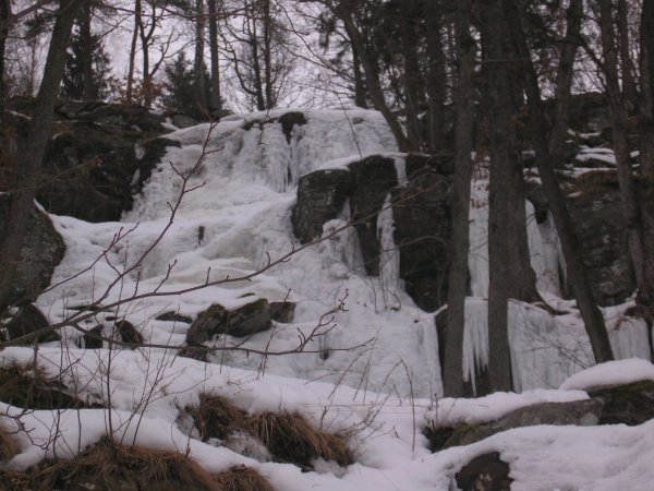 P3100237.JPG