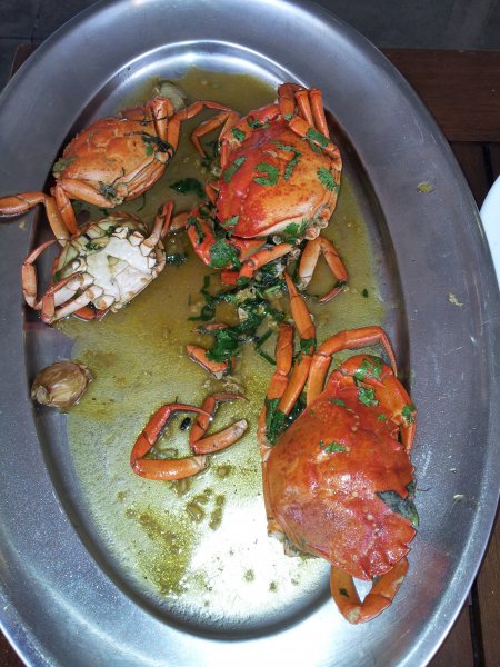 20121110_141025.jpg 20121110_141025.jpg