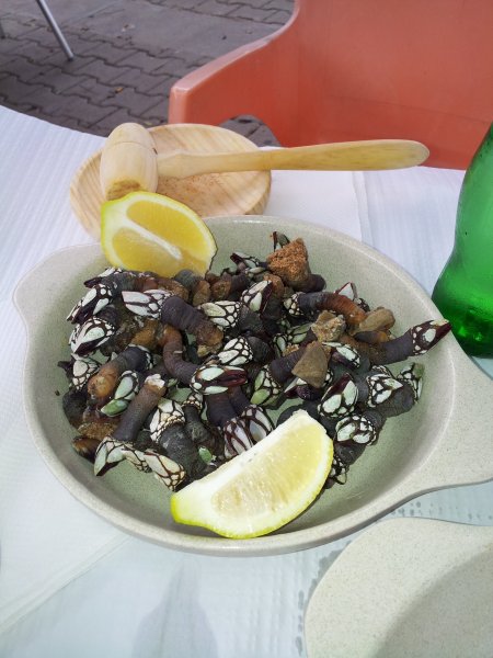 20121110_143625.jpg 20121110_143625.jpg