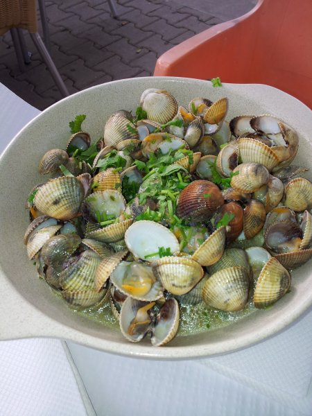 20121110_142915.jpg 20121110_142915.jpg