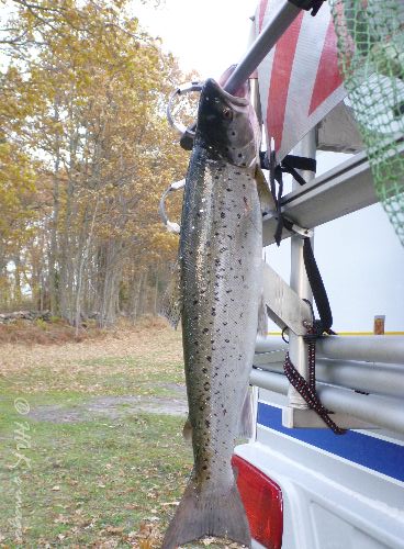 P1040332.JPG P1040332.JPG