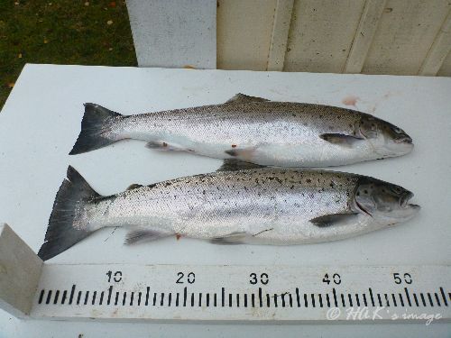 P1040335.JPG P1040335.JPG